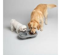 Gem Imports Elevated Dual Pet Bowls, Grey Plastic Feeding Station with Stand, Water and Food Container for Dogs and Cats