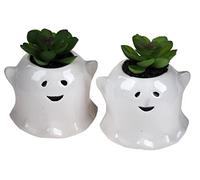 Gem Imports Halloween Ghoul Ghost Artificial Succulent Plants In Novelty Pots (Set of 2)