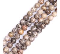 Gem-Inside 10mm Natural Gray Fossil Coral Jasper Round Gemstone Loose Beads for Jewellery Making 38-40pcs per Strand
