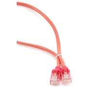 Gembird Patch Cord Cat. 5e UTP 0.25 m 0.25 m CAT5e U/UTP Patch Cable (UTP) Network Cable - Red (0.25 m CAT5e U/UTP NETWORK CABLE (UTP), RJ-45/RJ-45, Red)