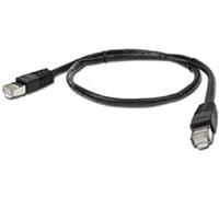 Gembird PP6 - 3 M/BK - CABLE CAT6 UTP Molded (3 Meters), Black