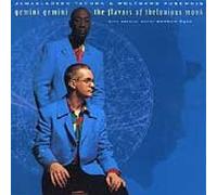 Gemini Gemini - The Flavours of Thelonious Monk