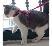 Gemini_mall Adjustable Nylon Cat Harness Lead/Leash/Collar Training Safety Rope (Red)