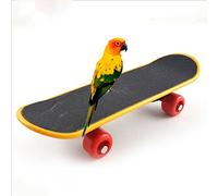 Gemini_mall® Bird Parrot Intelligence Toy Mini Training Skateboard for Parrot Budgie Parakeet Cockatiels Lovebird Conure Small and Medium Bird Funny Perch Toy (Skateboard)