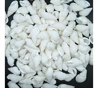 Gemini_mall White Sea Shells, 100pcs Small White Natural Seashells Craft Wedding Garden Aquarium Decoration