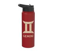Gemini Paperfolding Zodiac Graphic Stainless Steel Insulated Water Bottle
