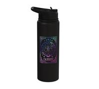 Gemini Tarot Card May June Birthday Astrology Zodiac Stainless Steel Insulated Water Bottle