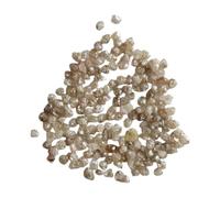 Gems For Jewels 1-2mm Raw Light Champagne Rough Diamonds, Loose Light Brown Uncut Rough Diamond for Ring/Jewelry - PPKJ199