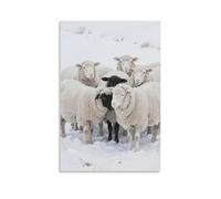 GEMTOFNMA Sheep Huddle Together, Wool White As Snow Contemporary Wall Mural - Decorative Hanging Poster Art 12x18inch(30x45cm)