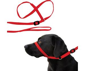 Gencon All-in-1 Headcollar and Lead Right-handed Red/Black