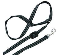 Gencon All In1 Clip to Collar LeftSilver