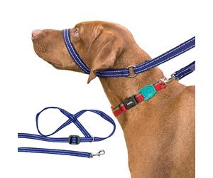 Gencon - Clip-to-Collar Dog Headcollar and Lead - One Size Dog Training & Behaviour Aid - Soft & Gentle Design with Trigger Clip - Left - Machine Washable - Made in Britain - Blue/White