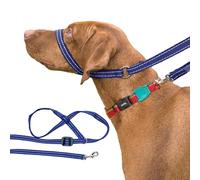 Gencon - Clip-to-Collar Dog Headcollar and Lead - Trainer Approved - One Size Dog Training & Behaviour Aid - Soft & Gentle Design with Trigger Clip - Left - Made in Britain - Blue/White