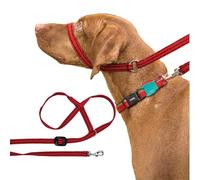 Gencon - Clip-to-Collar Dog Headcollar and Lead - Trainer Approved - One Size Dog Training & Behaviour Aid - Soft & Gentle Design with Trigger Clip - Left - Made in Britain - Red/Black