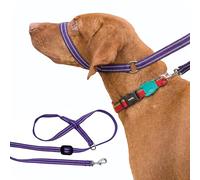 Gencon - Clip-to-Collar Dog Headcollar and Lead - Trainer Approved - One Size Dog Training & Behaviour Aid - Soft & Gentle Design with Trigger Clip - Left - Made in Britain - Purple/Pink