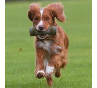 Gencon - Retrieving Roll - Training Aid for Dogs - Soft, Gentle & Durable - Teaches Fetch and Delivery to Hand - Practical Dog Training & Behaviour Aid - Made in Britain