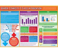 Gender, Ethnicity & Class in Education | Sociology Posters | Gloss Paper measuring 850mm x 594mm (A1) | Sociology Class Posters | Education Charts by Daydream Education