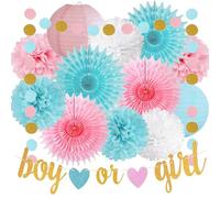 Gender Reveal Party Decorations Glitter Letters Boy or Girl with Hearts Banner Tissue Paper Poms Paper Lanterns Circle Dot Garland for Baby Shower Birthday Pink and Blue Party Decoration