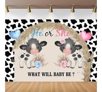 Gender Reveal Photography Backdrop Pink And Blue Floral He Or She What Will Baby Be Background Boy Or Girl Party Poster 440x300CM