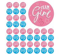 Gender Reveal Stickers 120Pcs 3cm Round Team Boy and Girl Labels