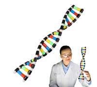 Gene Model Kit, Teaching Aids, Gene Assembling Games, Biology Classroom Stu
