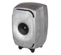 Genelec 8341 RAW