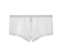 GENEMEN Mens Mesh Boxers Underwear Sexy See Through Boxers Breathable Mesh Underpants Quick Drying Briefs (White, XL)