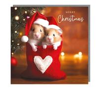General Christmas Card - Hamsters in a Love Heart Stocking - Festive Design - Made in the UK - Eco-Friendly