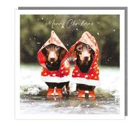 General Christmas Card - Sausage Dogs in Raincoats - Festive Dachshund Dog Design - Made in the UK - Eco-Friendly