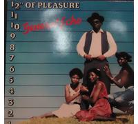 General Echo - 12" Of Pleasure