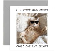 General Funny Female and Male Birthday Card - Chill Out and Relax Cat Birthday Card - For Cat Mum or Dad - Amusing Birthday Card for Wife, Sister, Mum, Daughter, Brother, Son | Blank Inside
