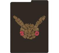 Generations: 20th Anniversary Pikachu Storage Divider