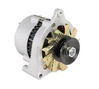Generator Alternator 220V Generator 2000W 3000W Vehicle Power 12V 24V Battery Charge DC Dual-Purpose(12V DC,1000W)