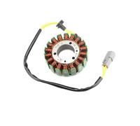 Generator Magneto Stator Coil FIT for S215 W155 1500cc 130hp 420889721 420889720 290889720