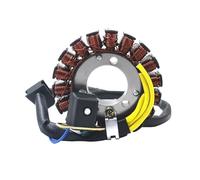 Generator Magneto Stator Coil Motorcycle Generator Stator Coil Comp For Hyosung GV250 2012 2013 2014 2015 GT250 GT250R GTR250 2009 2010 2011 2012 2013-2018