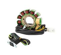 Generator Magneto Stator Coil Stator Coil For CMX250 CMX250X For Rebel CB250 For Nighthawk Two Fifty Police CB 250 31120-KEN-691 31120-KBG-004 31120-KBG-A01