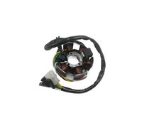 Generator Stator Comp Magneto Stator Coil Ignition For XP6 XPS XR6 50 For Supermotard Street