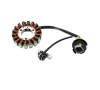 Generator Stator Comp Motorcycle Generator Magneto Stator Coil For Sea-Doo 290886588 420886588 800 GSX 951 Ltd XP LRV For Challenger 1800