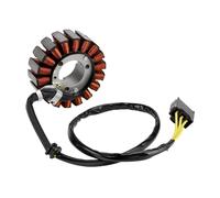 Generator Stator For Ps250 For Ps 250 For Mf-09 For Big For Ruckus 2004 2005 2006 Heavy Duty Motorcycle Durable Magneto Stator Coil Replacement Ignition Magneto