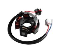 Generator Stator Stator Ignition Coil 2CS For YBR125 YBR125E YBR125EGS YBR125G YB125