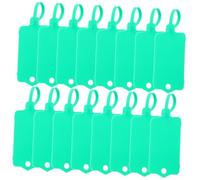 Generic 100pcs Plastic Sign Waterproof Mark Labels Blank Plastic Tags Large Key Tags Inventory Tags Plastic Luggage Tags Waterproof Tags Reusable Mark Labels Plastic Tie Tags Pp Green