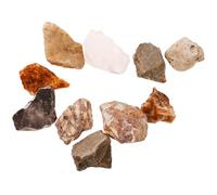 Generic 10Pcs Natural Stone Specimen Set for Science Education, Irregular Mineral Rock Samples with Display Box, Teaching Geology and Geography for Primary School Students