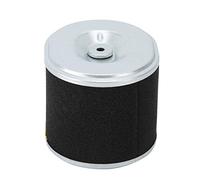 Generic 188f/190f Single -motor Gasoliteer Air Filter Petrol Engine Cleaner