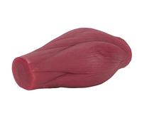 Generic 1lb Muscle Replica Model with Texture for Fitness Motivation and Education Plastic Material