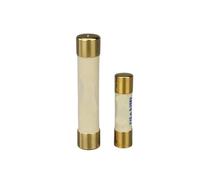Generic 1pcs Silver Gold-plated Alloy Fuse Audio Preamp Amplifier Tube Amp Fuse 5x20mm 6x32mm 0.5A-15A Slow Blow Fuse(5x20mm,2A)