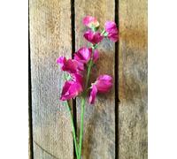 Generic 1x Short Individual Hot Pink Artificial Sweet Pea Stem, Realistic Sweetpea Silk Flowers, Wild Faux Bright Pink Meadow Flower, Spring Flower Stem, Faux Sweet Pea Flower Stem