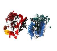generic 2 Boxes Dried Flowers with Storage - Multifunctional Vivid Color Naturally Decor for Resin Jewelry, Nail Art, Craft Projects & Home Wedding Arrangements