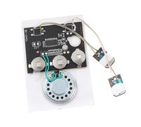 Generic 27s Recording Chip with Button Battery, Key Control Voice Module for DIY Chocolate Boxes, Ideal Module for Expressing Love to Your Lover (Extension cord version)