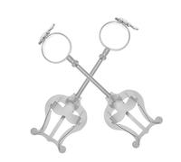 Generic 2pcs Sheets Clarinet Sheet Music Folder Marching Band Lyre Music Clamp Lyre Fixation Clip Fixing Clamp Clarinet Holder Iron Silver