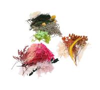 generic 3 Box Dried Flower Bundles Kit for DIY Crafts - Artificial Flowers for Resin Art, Wedding Bouquets, Home Decor, Nail Art & Jewelry Making Supplies